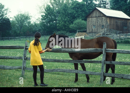 Toccare il cavallo Foto Stock