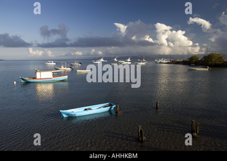 Porto di Puerto Jimenez, Osa Peninsula, Costa Rica Foto Stock