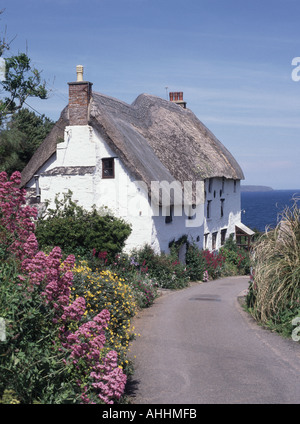 Tetto di paglia sulle case di paese inglesi in stretto Cornish Lane & fiori a Church Cove piccolo borgo costiero parrocchia di Landewednack Cornwall Regno Unito Foto Stock