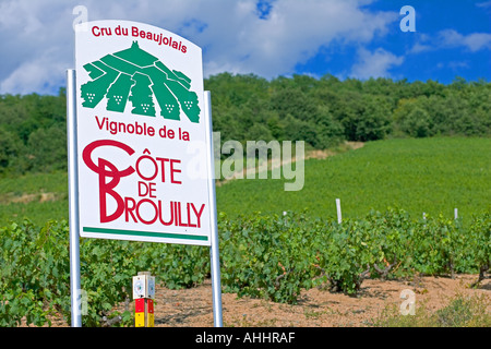 'Côte de Brouilly' cartello stradale e il vigneto vino Beaujolais paese Francia Foto Stock