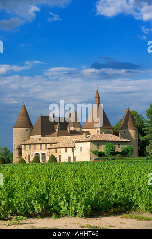 Vigneto e 'Corcelles' castello del XV secolo il vino Beaujolais paese Francia Foto Stock