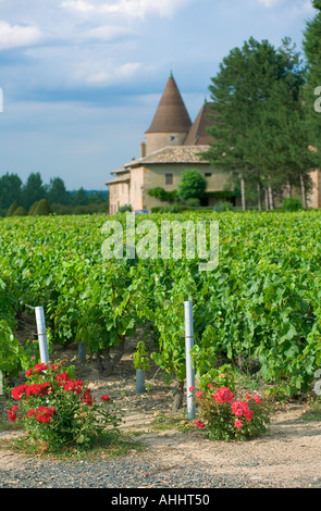 Vigneto e 'Corcelles' castello del XV secolo il vino Beaujolais paese Francia Foto Stock