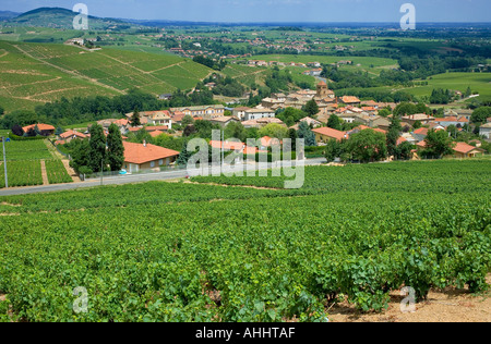 Vigneti Salles Arbuissonnas-VILLAGE BEAUJOLAIS WINE COUNTRY la valle del Rodano in Francia Foto Stock