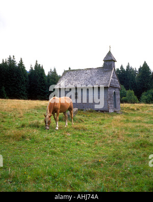 La cappella e il cavallo al mountain Dreisessel Baviera Germania Europa. Foto di Willy Matheisl Foto Stock