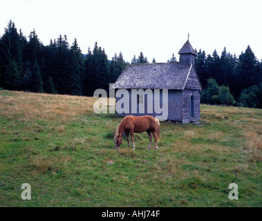 La cappella e il Wild Horse presso la montagna Dreisessel Baviera Germania Europa. Foto di Willy Matheisl Foto Stock