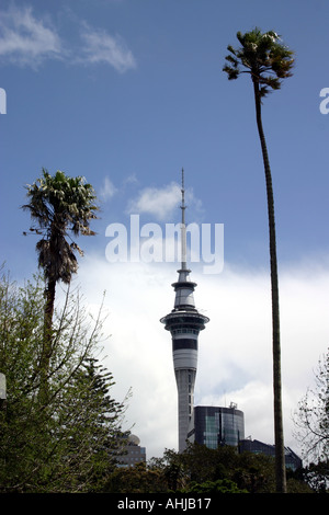 Auckland Sky Tower visto da Albert Park University motivi Isola del nord della Nuova Zelanda Foto Stock