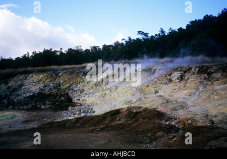 Gas solforici che si innalzano da Ha'akulamanu (banche sulfuree) colorati di giallo dallo zolfo nel Parco Nazionale dei Vulcani delle Hawaii. Big Island, Hawaii, Stati Uniti. Foto Stock