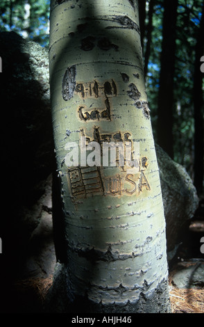 Benedizione Dendroglyph per '911' su un trunk Aspen, San Francisco Peaks Foto Stock