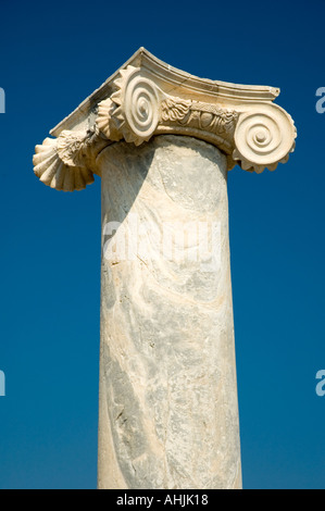 Colonna in Lake House nel quartiere del lago Delos Cicladi Isole Greche grecia Europa Mediterranea Foto Stock