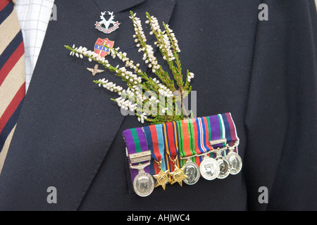 Vecchio soldato che indossa medaglie di guerra e nastri e heather dei reggimenti scozzesi durante la seconda guerra mondiale, la seconda guerra mondiale, la seconda guerra mondiale, la parata commemorativa della seconda guerra mondiale, Scozia, Regno Unito Foto Stock