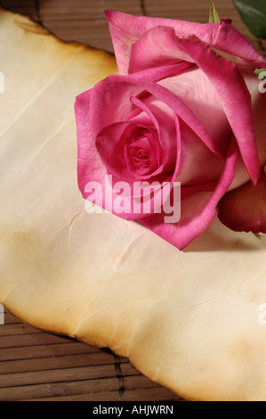 Rose su di età compresa la carta pergamena lettera d'amore Foto Stock