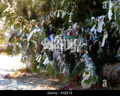 Cipro auguri legato ad albero vicino alla Moschea Hala Sultan Tekke Foto Stock