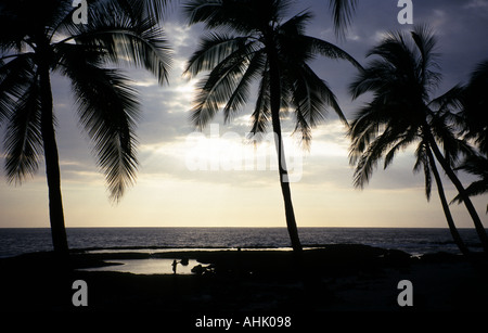 Vista sul mare tra palme con luce solare argentata che si riflette sulle piscine di roccia. Big Island, Hawaii, Stati Uniti. Foto Stock