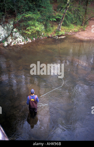 Pesca a mosca Foto Stock