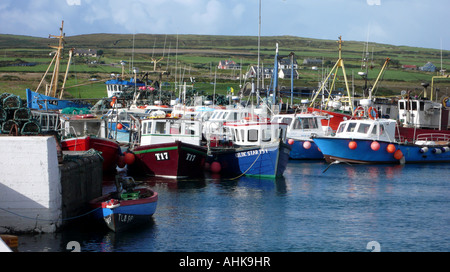 Barche da pesca nel porto di Portmagee, nella contea di Kerry, Irlanda Foto Stock