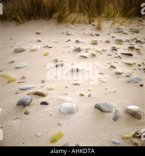 Un arte moderna composizione di illuminata delicatamente i ciottoli emergenti da una spiaggia scozzese creando un semi arte astratta immagine con dune Foto Stock