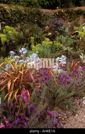 Giardino del cortile ad est di RUSTON OLD VICARAGE IN NORFOLK REGNO UNITO NEL MESE DI MAGGIO Foto Stock