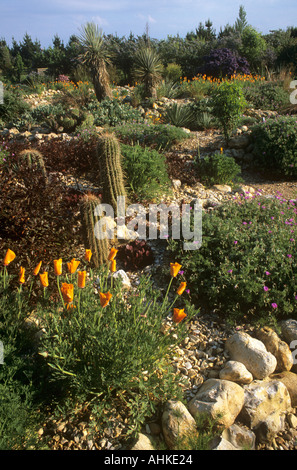 Deserto GIARDINO DI LAVAGGIO A EAST RUSTON Old Vicarage in Norfolk, Regno Unito, nel maggio Foto Stock