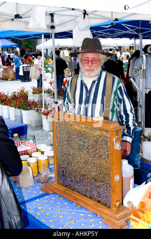 Un uomo vendita di miele a Chicago farmers market in piedi di fronte a un bicchiere bee hive. Foto Stock