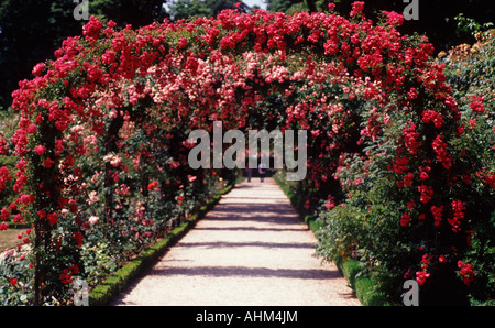 Roseraie du Val-de-Marne L'Hay-les-ROSE (vicino a Parigi Francia Foto Stock