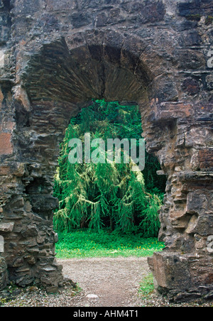 Guardando attraverso una porta nella cappella in rovina di Dunstaffnage Castle in Scozia Foto Stock