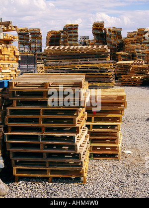 Una foresta di una pila di palette di legno in un piazzale di stoccaggio al di sotto di un nuvoloso cielo blu. Foto Stock