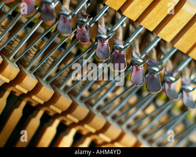 Il legno, il filo e un mazzuolo in pelle dei tiranti all'interno di un piano di cassa di risonanza che abilita il sorprendente di stringhe Foto Stock