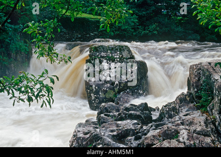 Una cascata sul fiume Conwy a Betws-y-coed in Galles del Nord Foto Stock