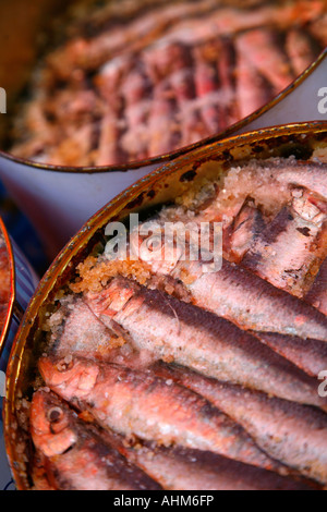 Sardine mercato Ballaro Palermo Sicilia Foto Stock