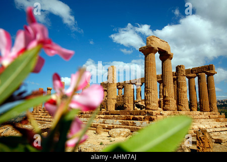 Tempio di Giunone presso la Valle dei Templi di Agrigento Sicilia Foto Stock
