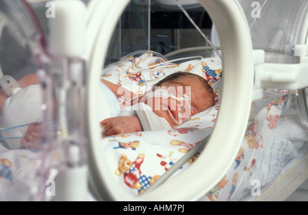 Bambino prematuro in incubatrice in unità di terapia intensiva dell'ospedale di maternità Foto Stock