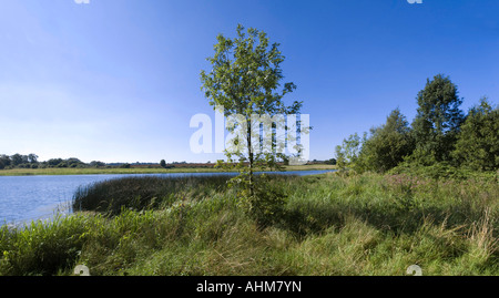 Serbatoio sywell northamptonshire Midlands England Regno Unito Foto Stock