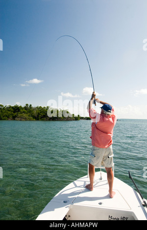 Florida Keys maturo pescatore a mosca combattendo un permesso dalla prua di una barca appartamenti nell'oceano dei Caraibi Foto Stock