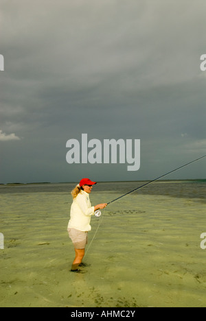 Florida Keys donna pescatore per colata bonefish mentre la pesca con la mosca sotto cieli bui sulle parti piatte dell'oceano dei Caraibi Foto Stock