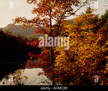 Aquila Rossa stagno in New Hampshire mette in mostra i colori autunnali Foto Stock