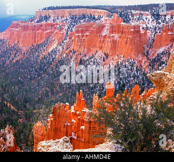 Bryce Canyon dopo una nevicata che mostra il luminoso rocce rosse scogliere e Hoodoos con un leggero strato di neve Foto Stock