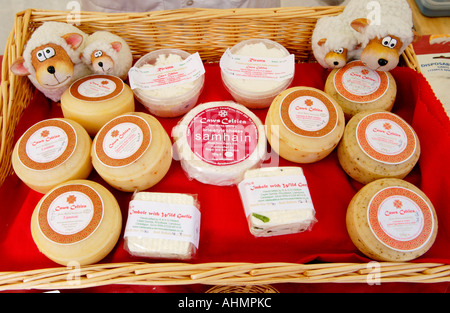 Le pecore di formaggio di latte dal CAWS Celtica di Rhydlewis sulla vendita a Haverfordwest Farmers Market Pembrokeshire West Wales UK Foto Stock