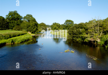 Vista dal ponte sul fiume Teifi guardando a monte a Llechryd Ceredigion West Wales UK Foto Stock