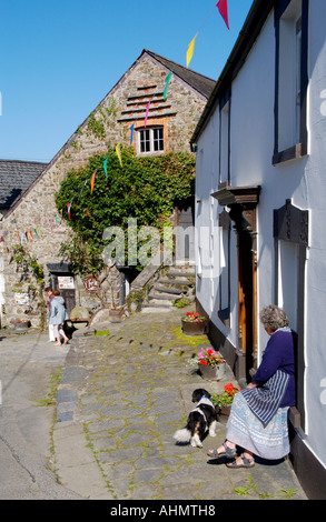 Coperto di edera Y Felin Mulino a St Dogmaels Pembrokeshire West Wales UK del xvii secolo mulino di farina anziana signora seduto sul davanzale con il cane Foto Stock