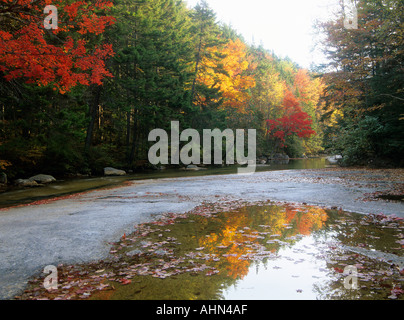 New Hampshire nh usa colori autunnali Swift River in bianco mountai national forest Foto Stock