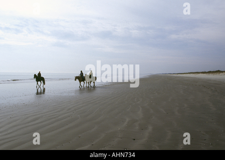 I piloti a cavallo sulla spiaggia Jekyll Island Georgia Foto Stock