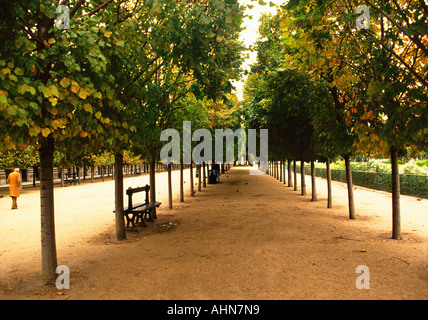 Europa Francia Parigi riva destra del Palais Royal in autunno. Royal Palace Foto Stock