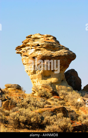 Goblin rock formazione nella Bighorn Bacino del Wyoming Foto Stock