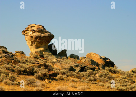 Goblin rock formazione nella Bighorn Bacino del Wyoming Foto Stock