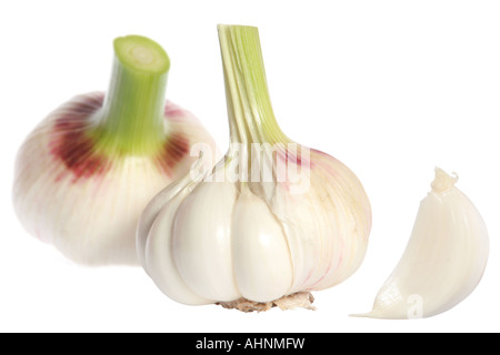 Testa di aglio dettaglio isolato su sfondo bianco Foto Stock