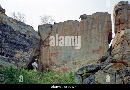 Pitture rupestri Tsodilo Hills Van der Post scrivania Foto Stock