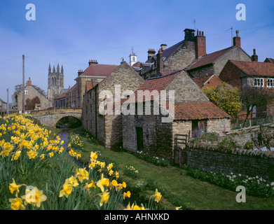 La molla narcisi e vecchi edifici in pietra arenaria, Helmsley, segala dale, North York Moors, North Yorkshire, Inghilterra, Regno Unito. Foto Stock