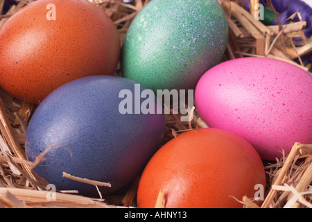 Uova di Pasqua nel nido Foto Stock