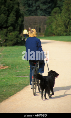 Uomo in bicicletta a piedi il suo cane Podsdam Germania Foto Stock