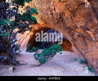 Navajo Arch Arches National Park nello Utah Foto Stock